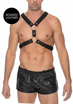 Z Series Scottish Harness - L/XL - Black..