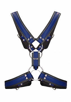 Ouch! - Z Series Scottish Harness - S/M - Blue