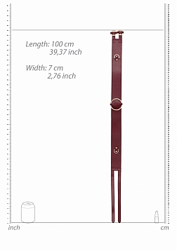 Waist Belt with Bondage Rings - S/M