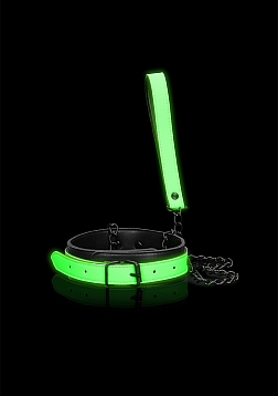 Collar and Leash - Glow in the Dark..