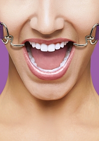 Hook Gag - Purple Hook Gag - Purple