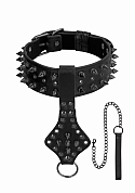 Neck Chain with Spikes and Leash - Black..