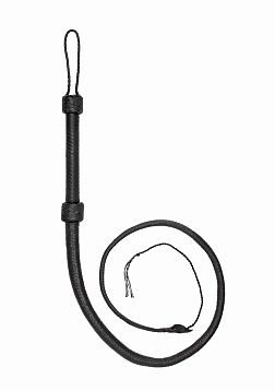 Bullwhip