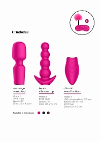 Pleasure Kit #3 - Vibrator with Different Attachments